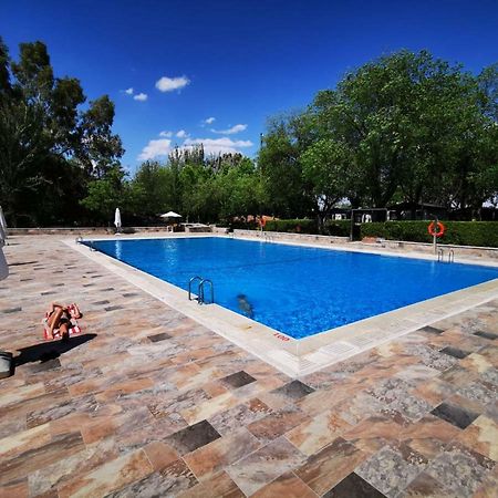 Bungalows Alpha Getafe Extérieur photo