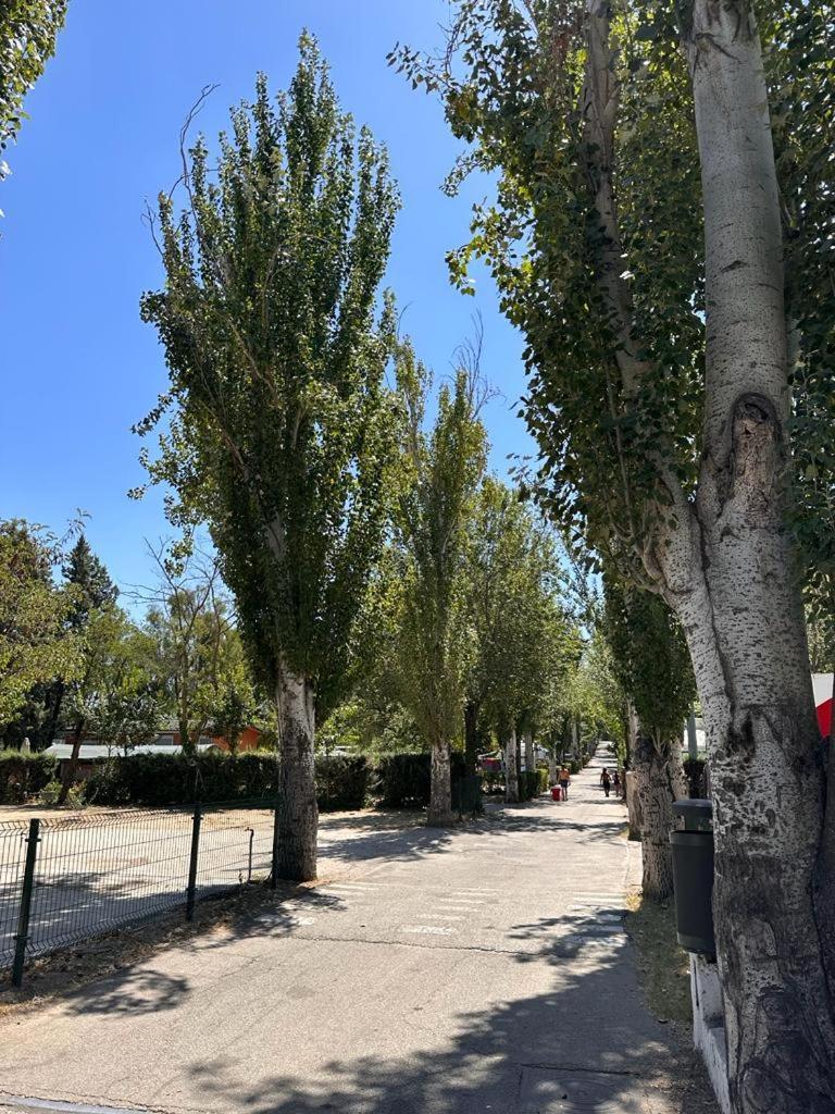 Bungalows Alpha Getafe Extérieur photo