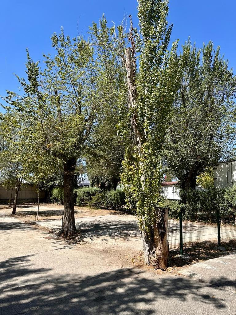 Bungalows Alpha Getafe Extérieur photo