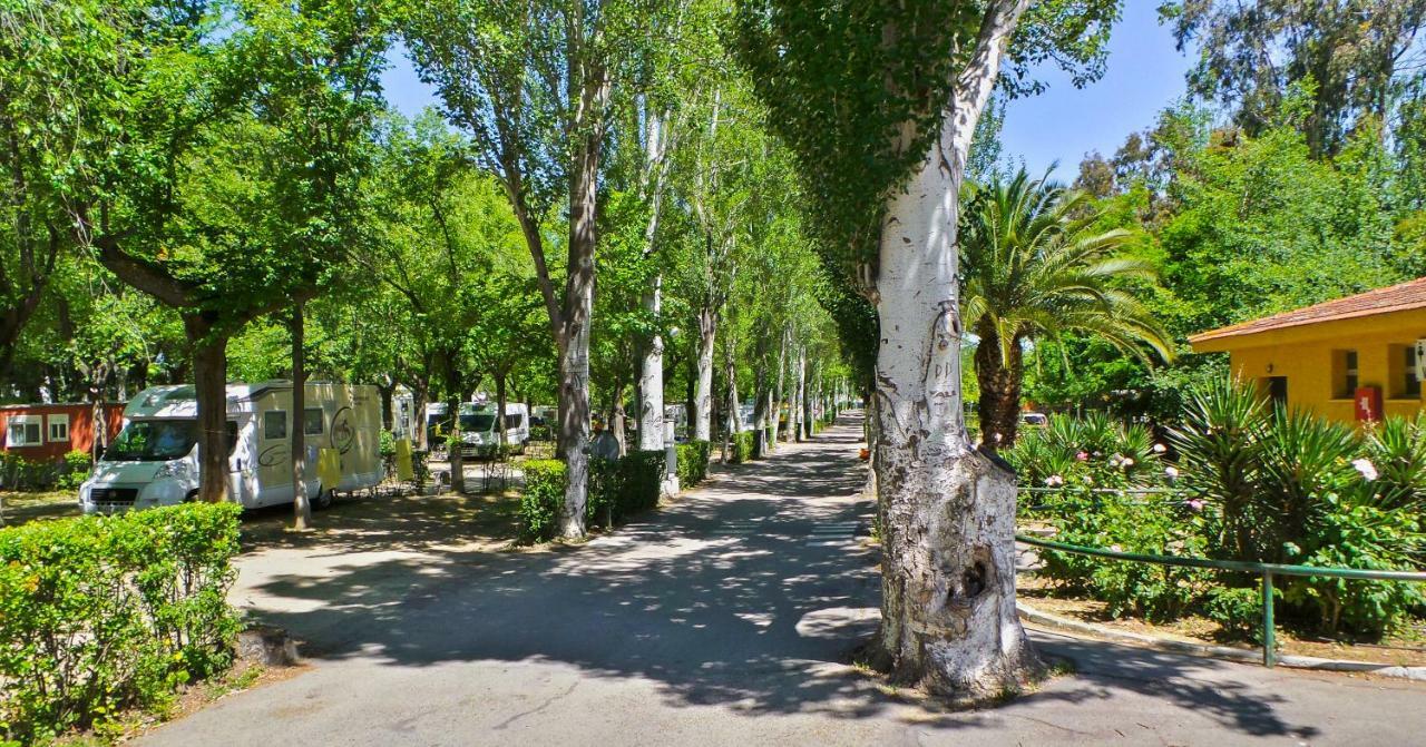Bungalows Alpha Getafe Extérieur photo